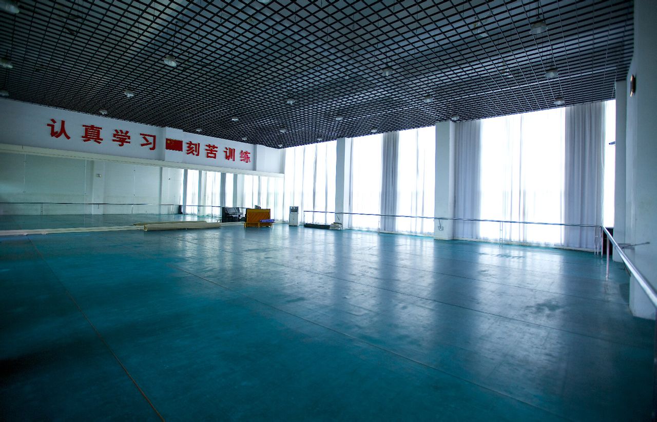  p>南方舞蹈学校创建于2007年,是一所民办中专类学校,学校实行军事化