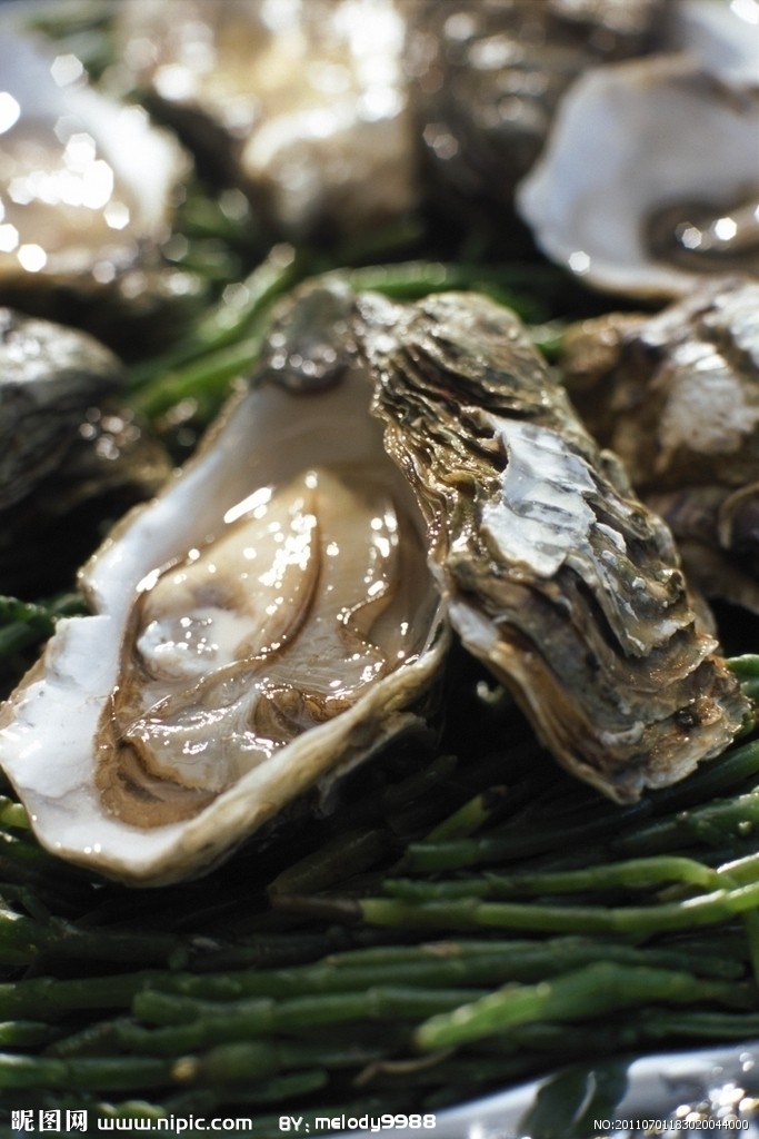  p>牡蛎( i>ostrea gigas tnunb /i>)俗称海蛎子,蚝等,隶属软体动物门