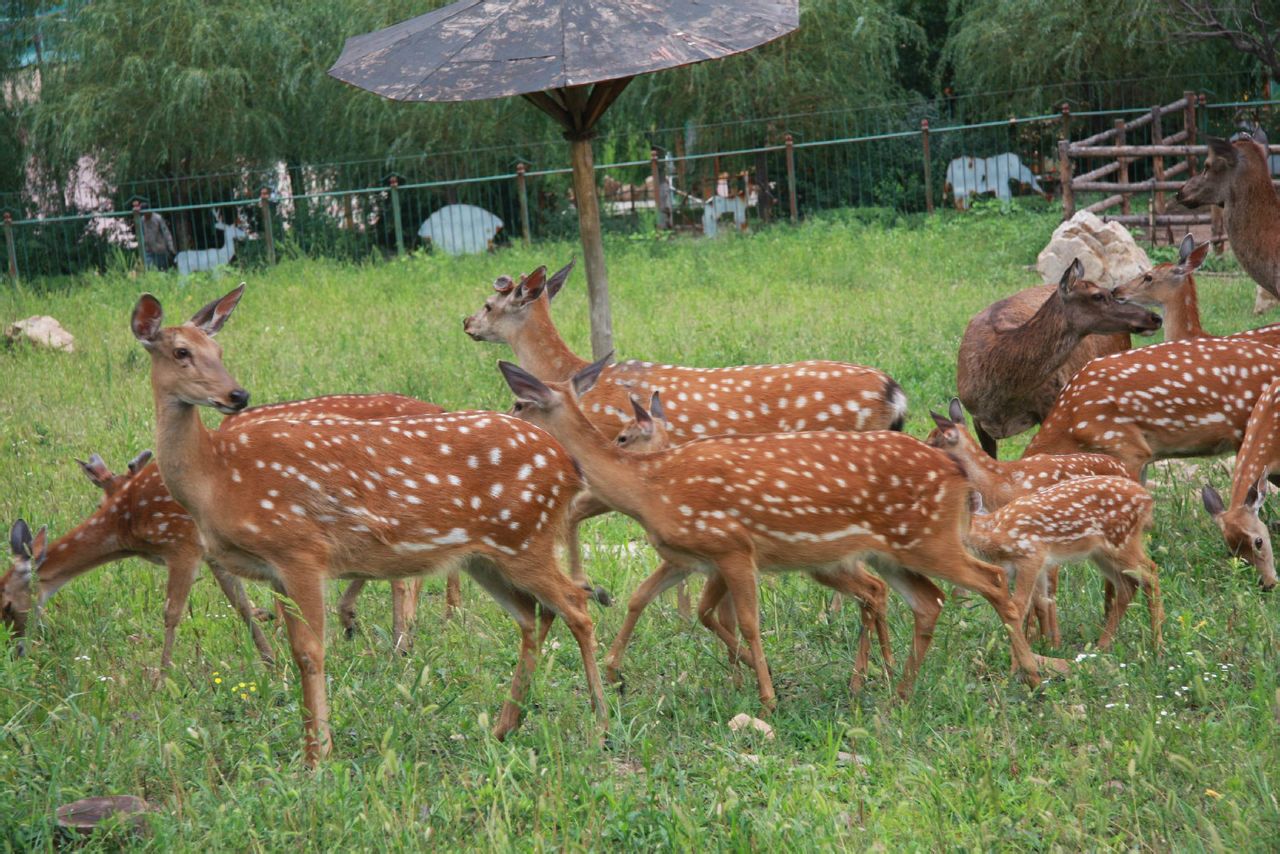 本溪市动植物园