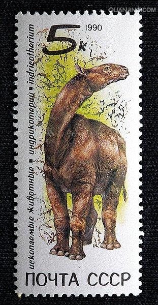 巨犀(indricotherium)