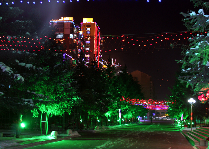  p>绥棱县第一中学,是一所市级重点高中,创办于1950年, 是国家级绿色