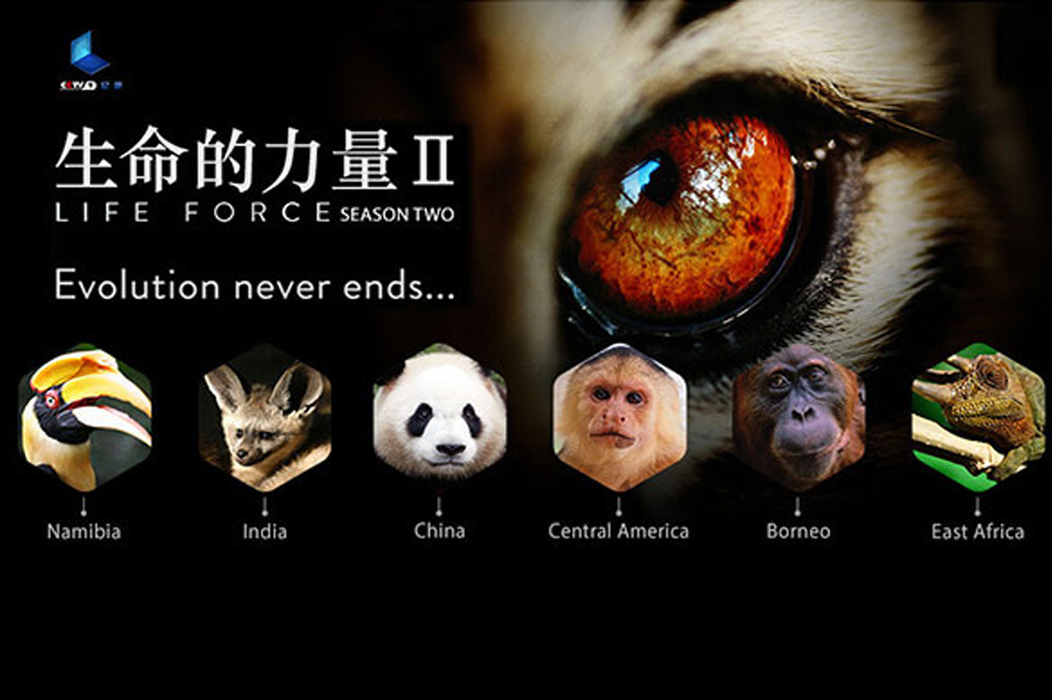 哪种生物的生命力更强，哪种生物生命力最强蚂蚁庄园