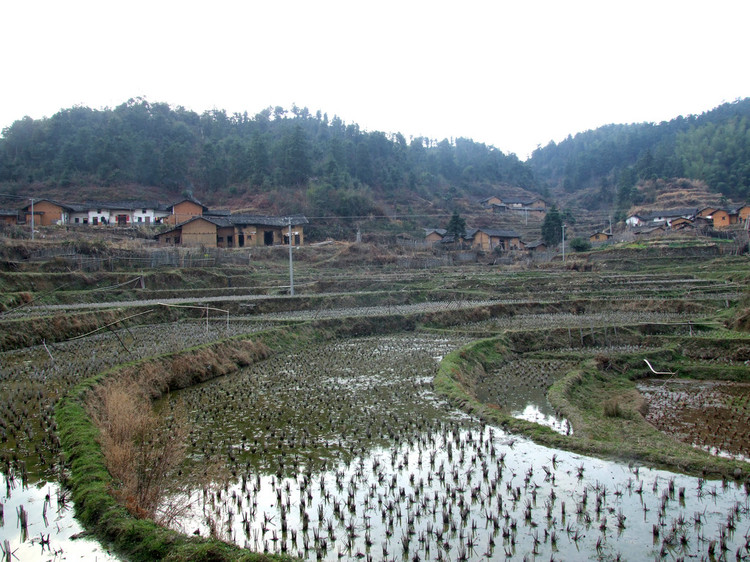 东江源村