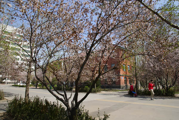 山东科技大济南校区