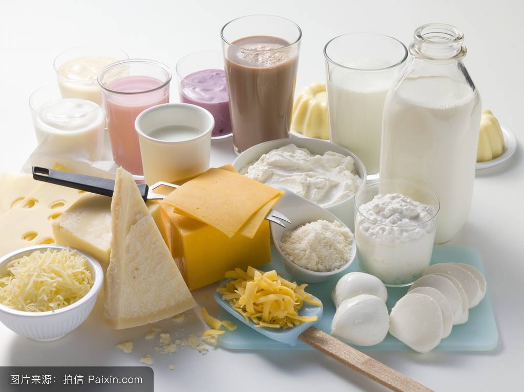 dairy products