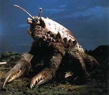 南海的大怪兽/17586498" data