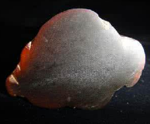  p>双房角石属是头足纲内角石亚纲的一属.已灭绝. /p>