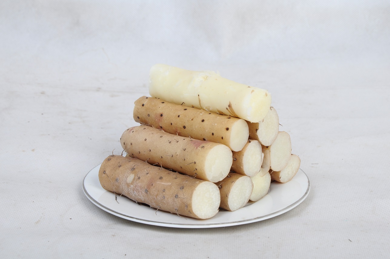 白山药作为保健食品,在中国至少有2000多年的历史