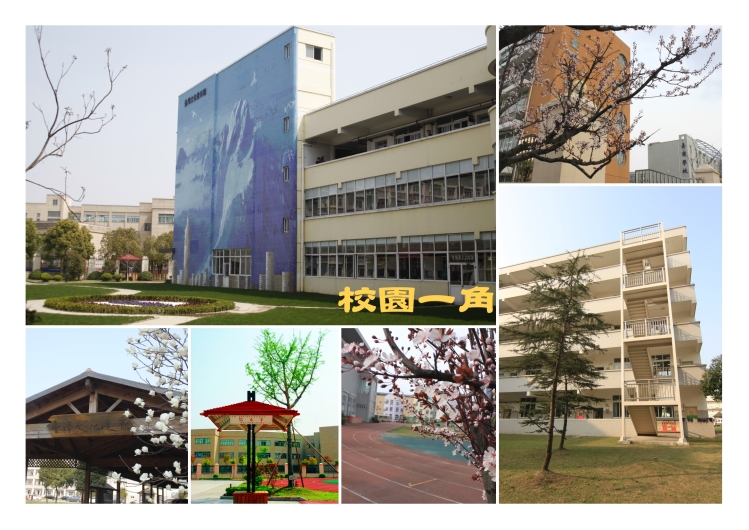 上海台商子女学校