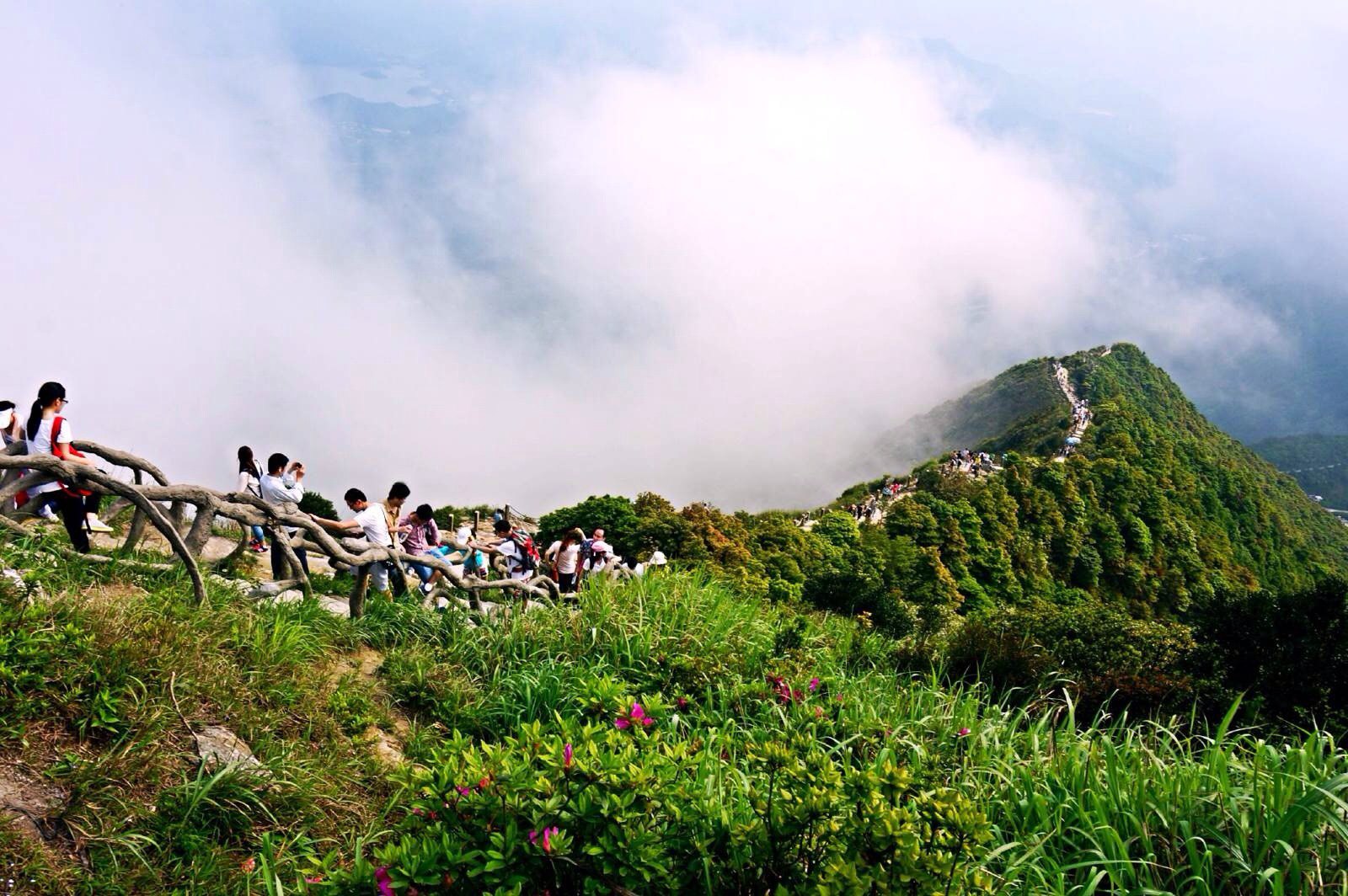  p>梧桐山风景名胜区位于东经113°17～114°18,北纬22°23～22