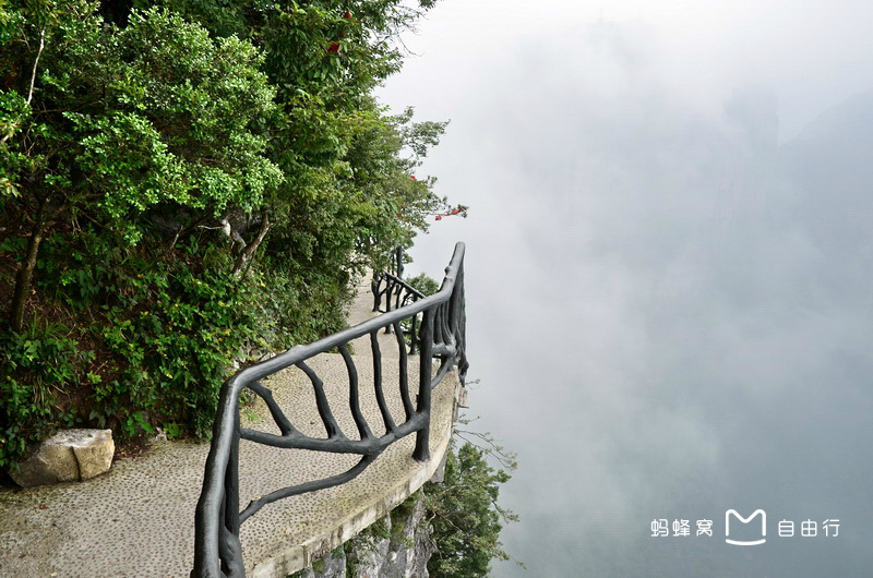  p>鬼谷栈道,是一道全线都立于万丈悬崖的中间的栈道,位于 a target="