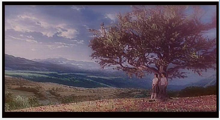 心动temptingheart(1999)