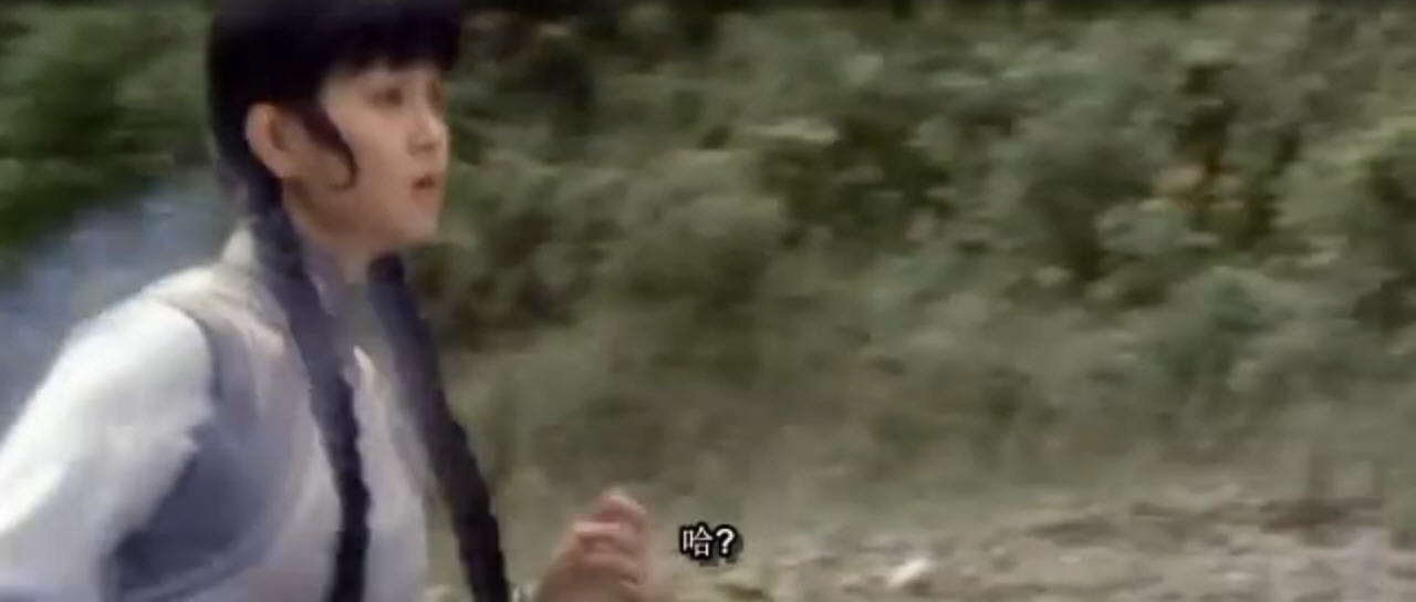 昆宝出拳kungpow:enterthefist(2002)