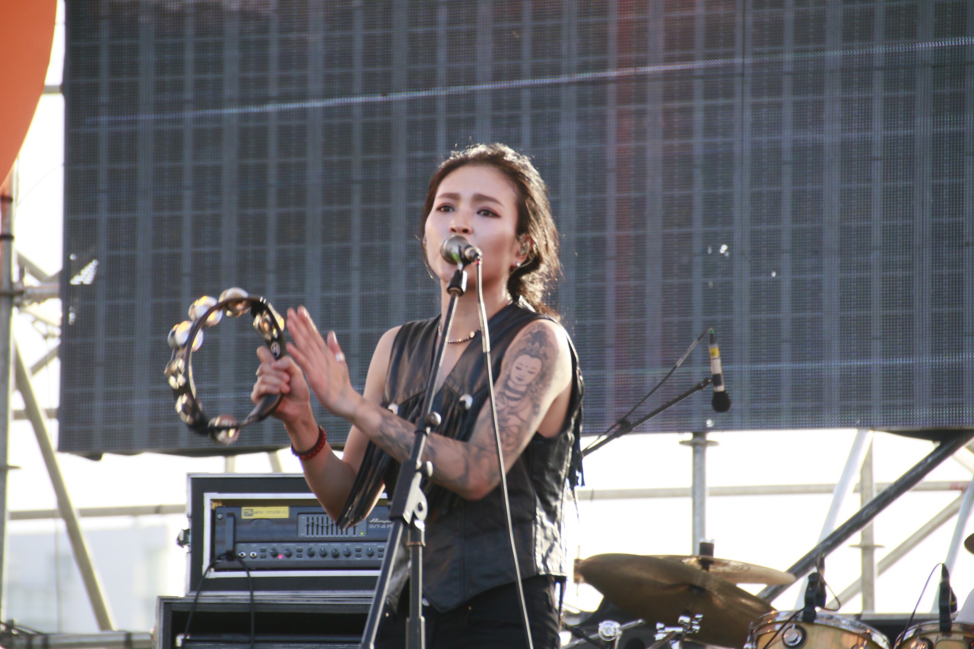 中国好声音第二季 毕夏