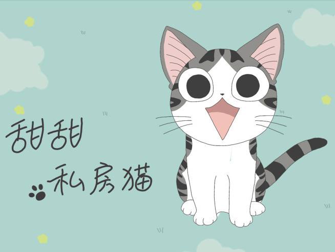 甜甜私房猫
