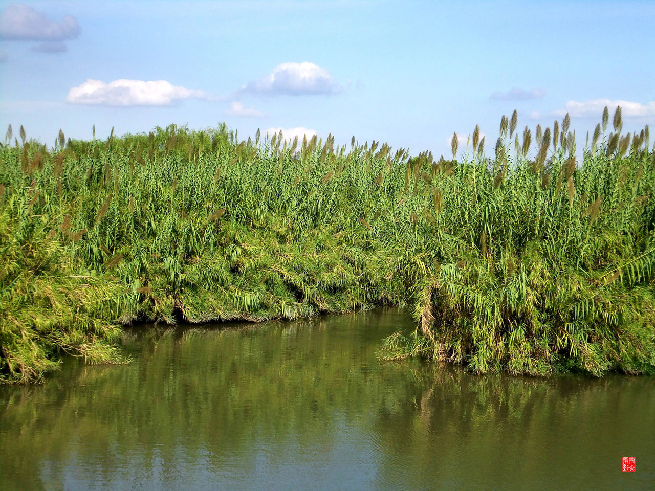  p>沙家浜芦苇荡风景区位于明媚秀丽的 a target="_blank" href="