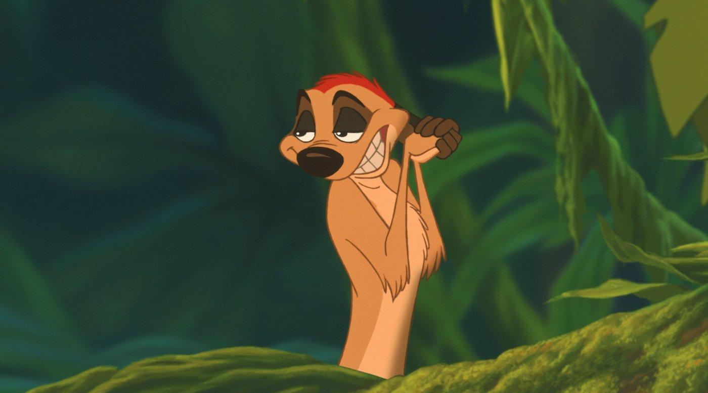 狮子王2辛巴的荣耀(dvd)