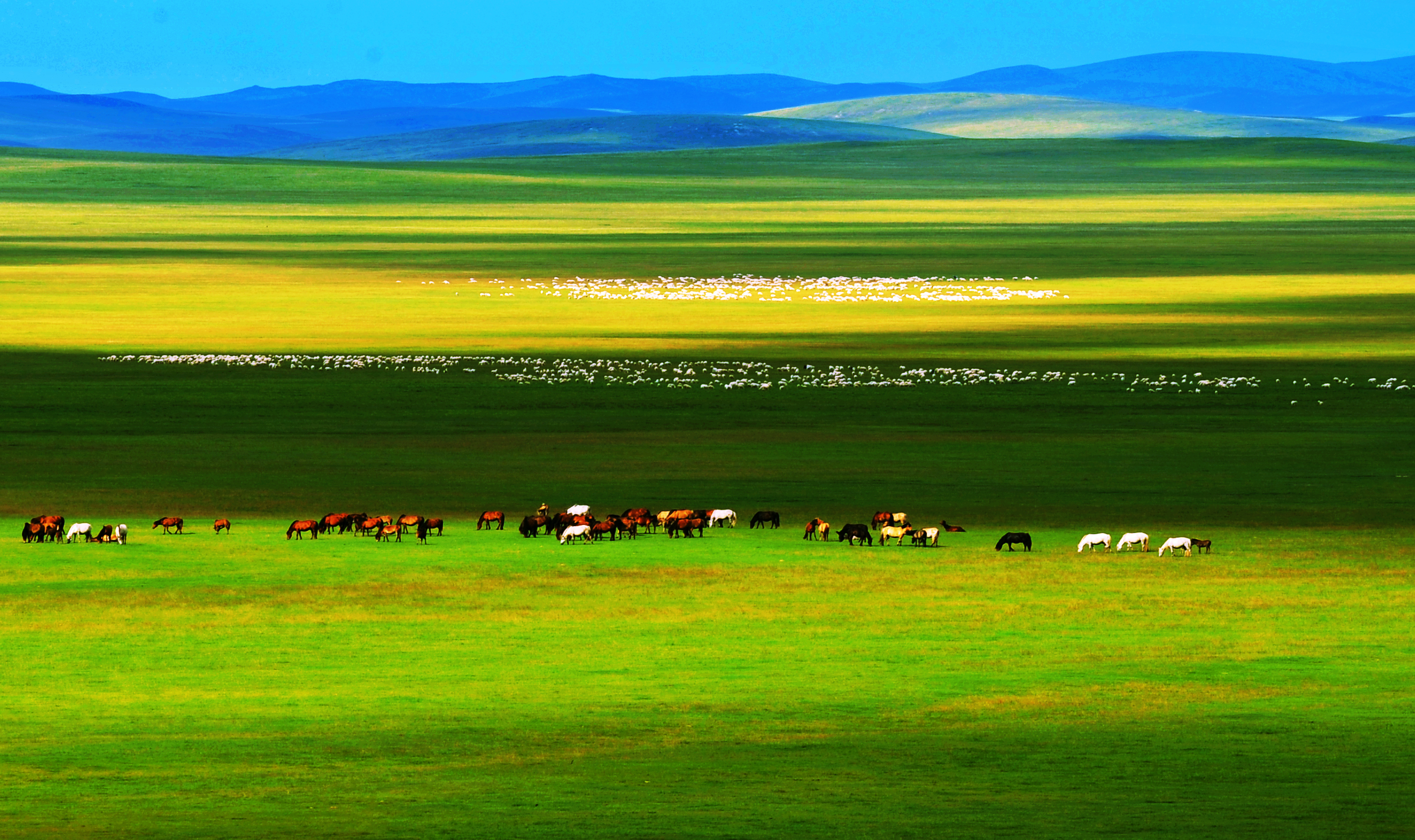 乌拉盖九曲湾旅游区