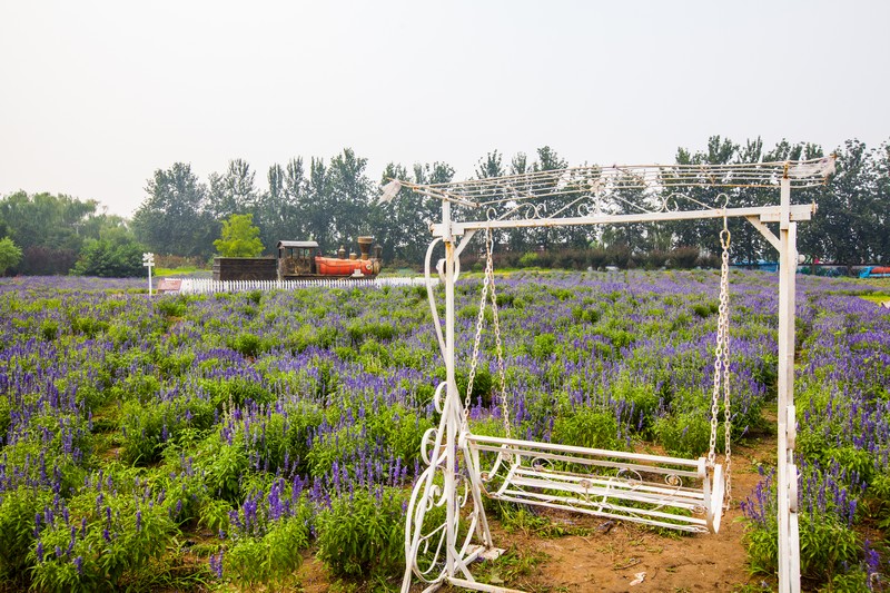薰衣草蓝调庄园