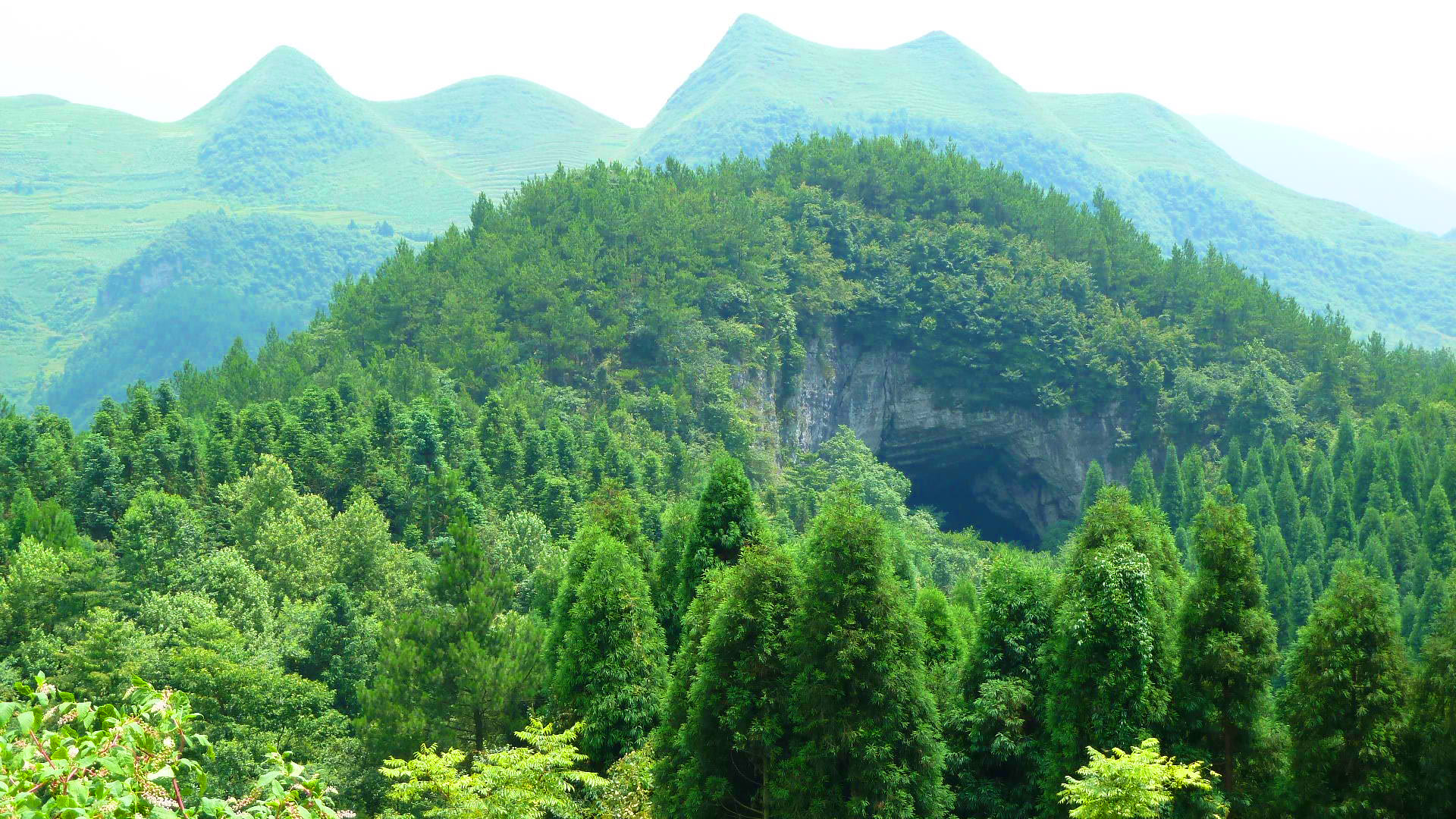 垭省级森林公园位于 a target="_blank" href="/item/大娄山/5615896"