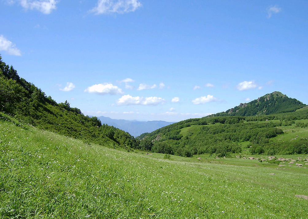 data-lemmaid="1932950">三大平原 /a>之一,中国人口最