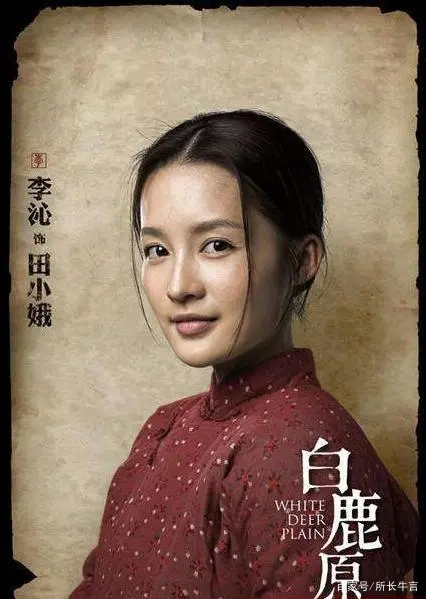 陈忠实《白鹿原》是对现实和理想的真实写照_百科TA说