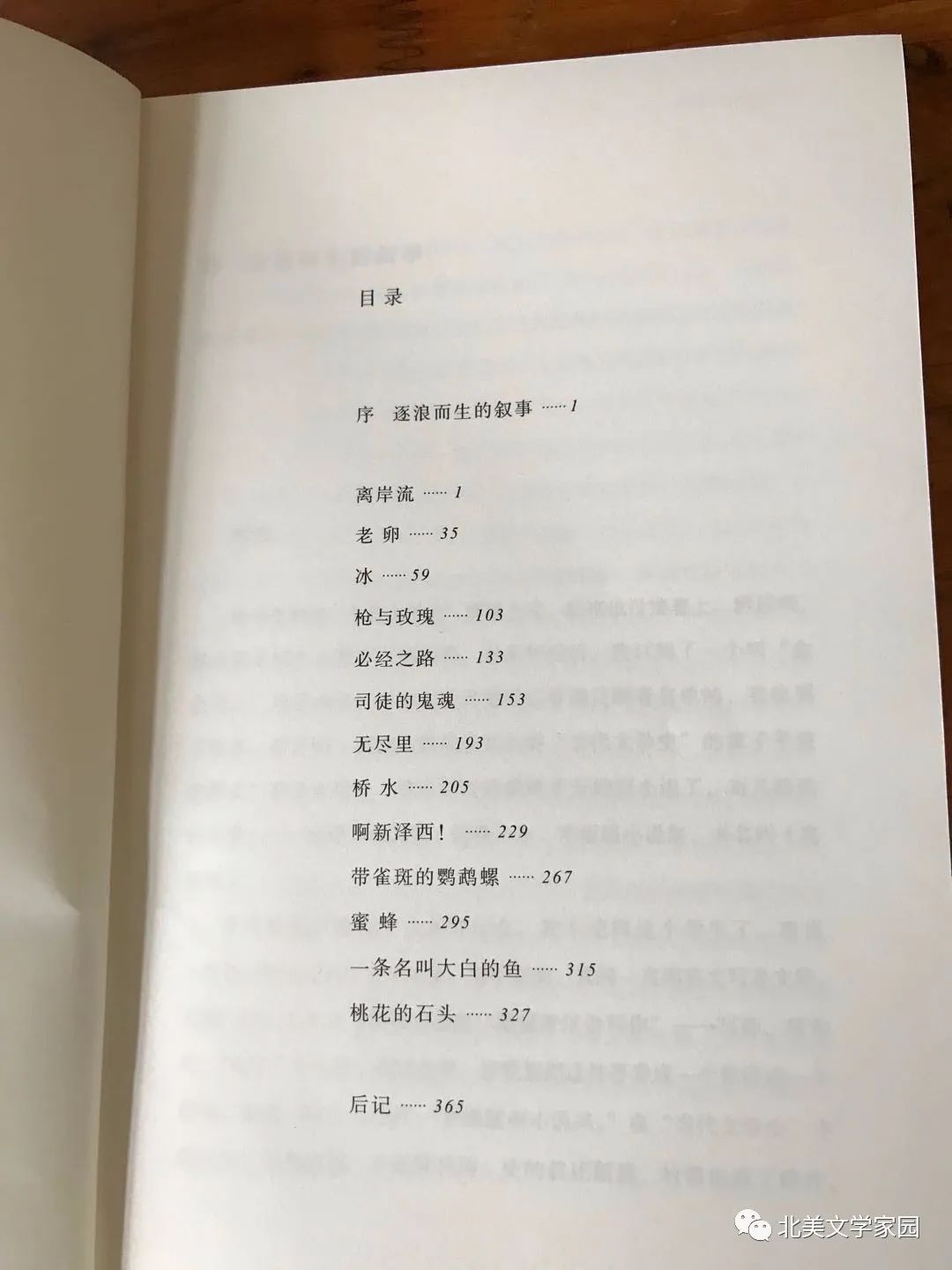 离岸流》：逐浪而生的叙事_百科TA说