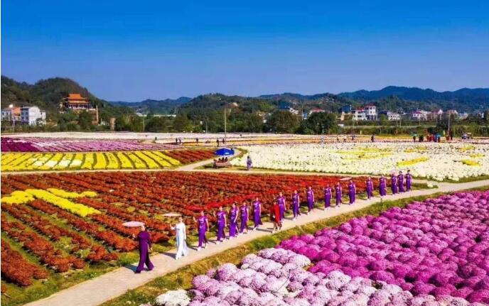  p data-id="go0ao858oh">桃林镇,隶属于湖南省岳阳市临湘市,地处 a