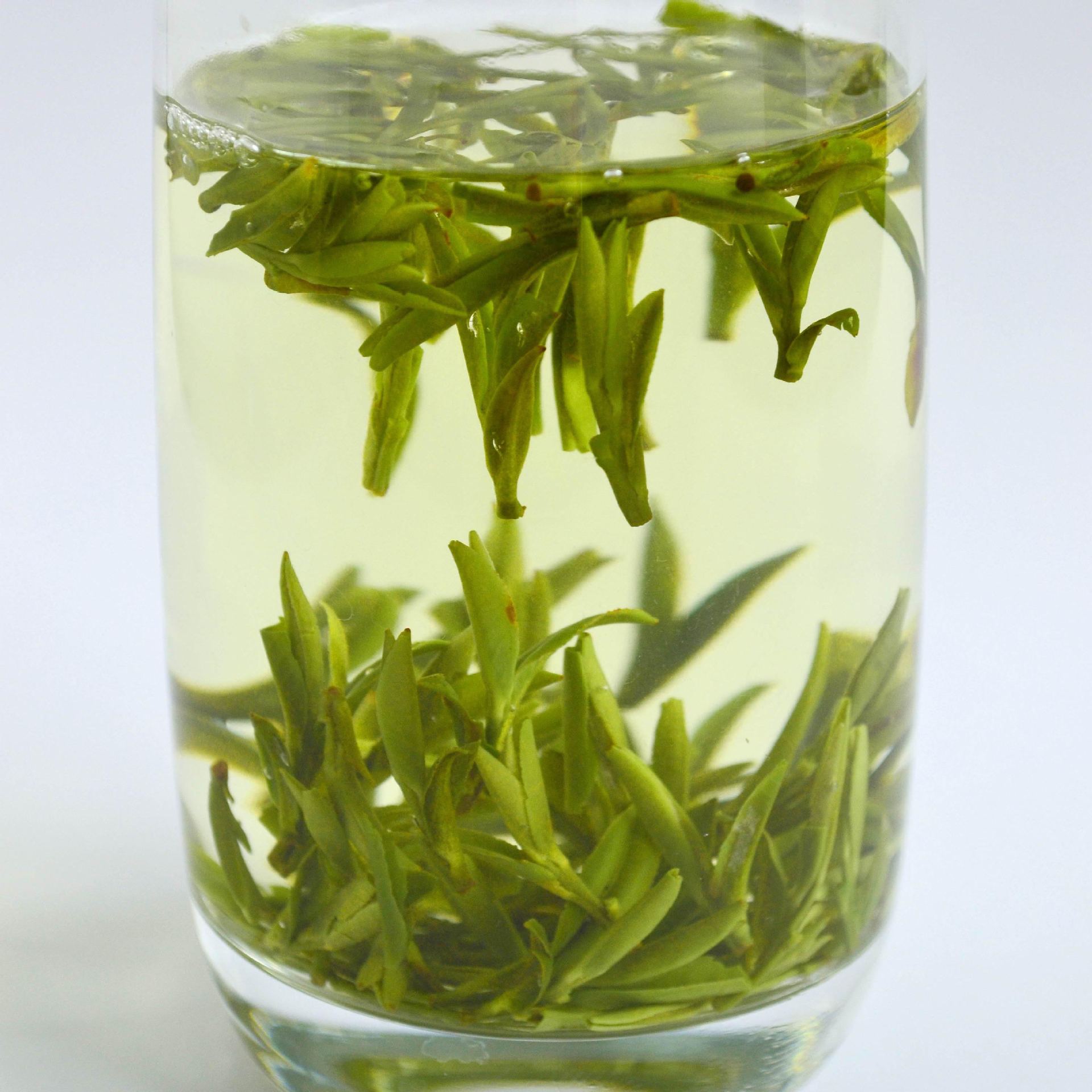 竹叶甘茶