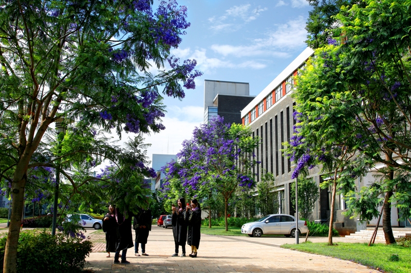 p>云南师范大学(yunnan normal university),简称"云南师大",坐落在 