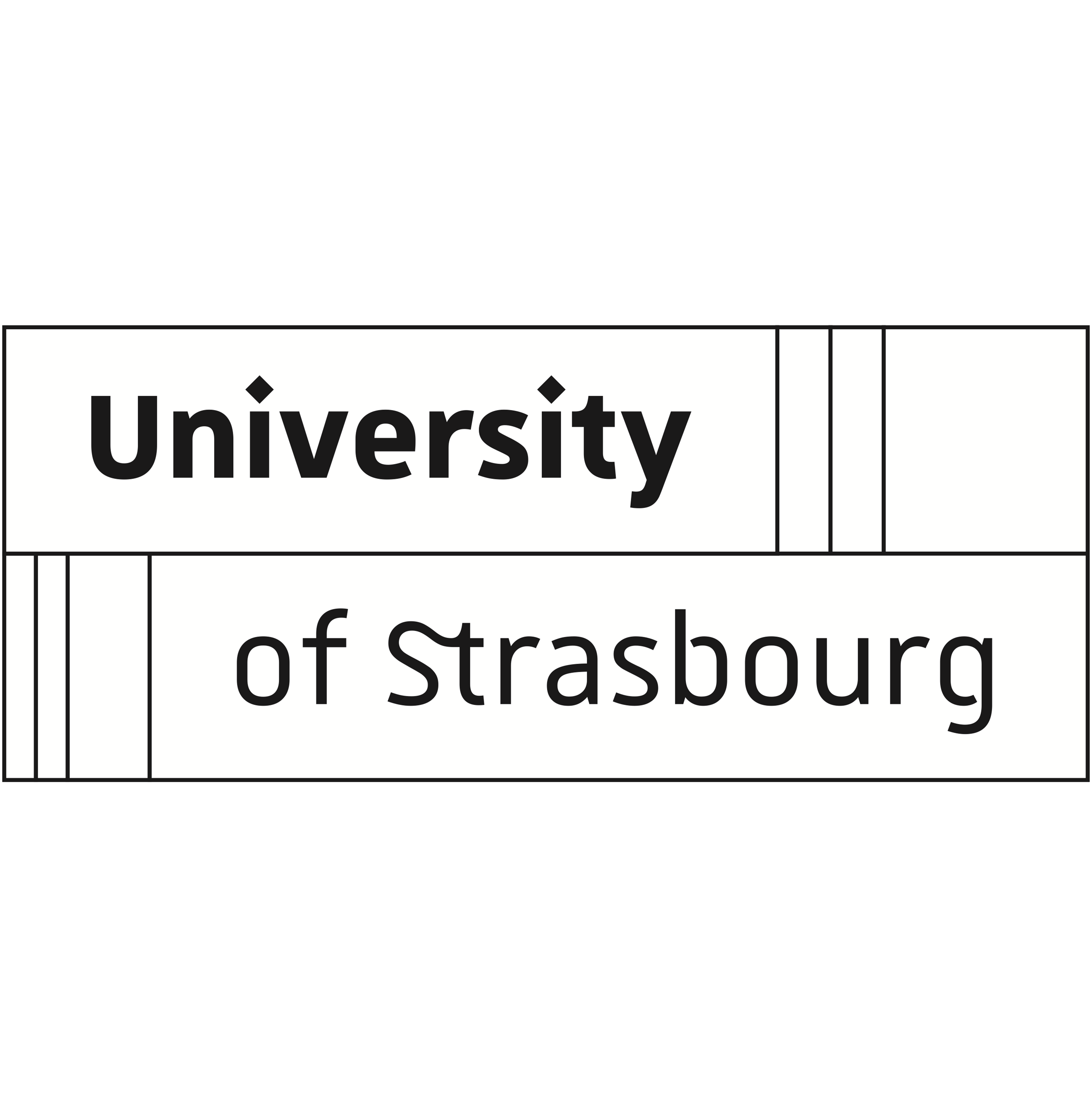 法国斯特拉斯堡大学
