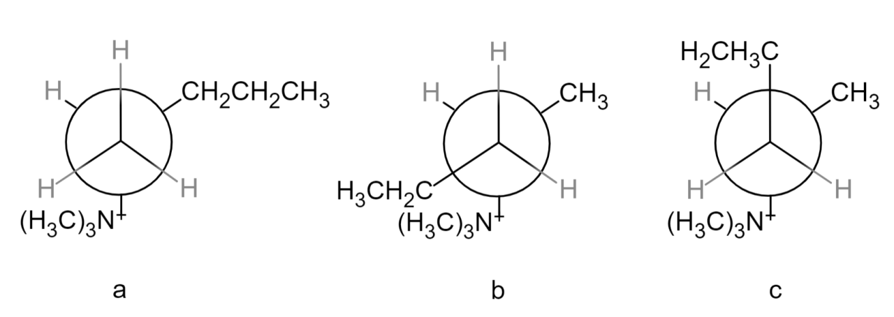 霍夫曼規則的立體效應
