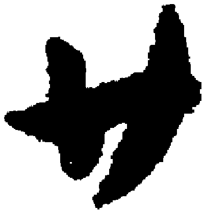 廿（汉语文字）_百度百科