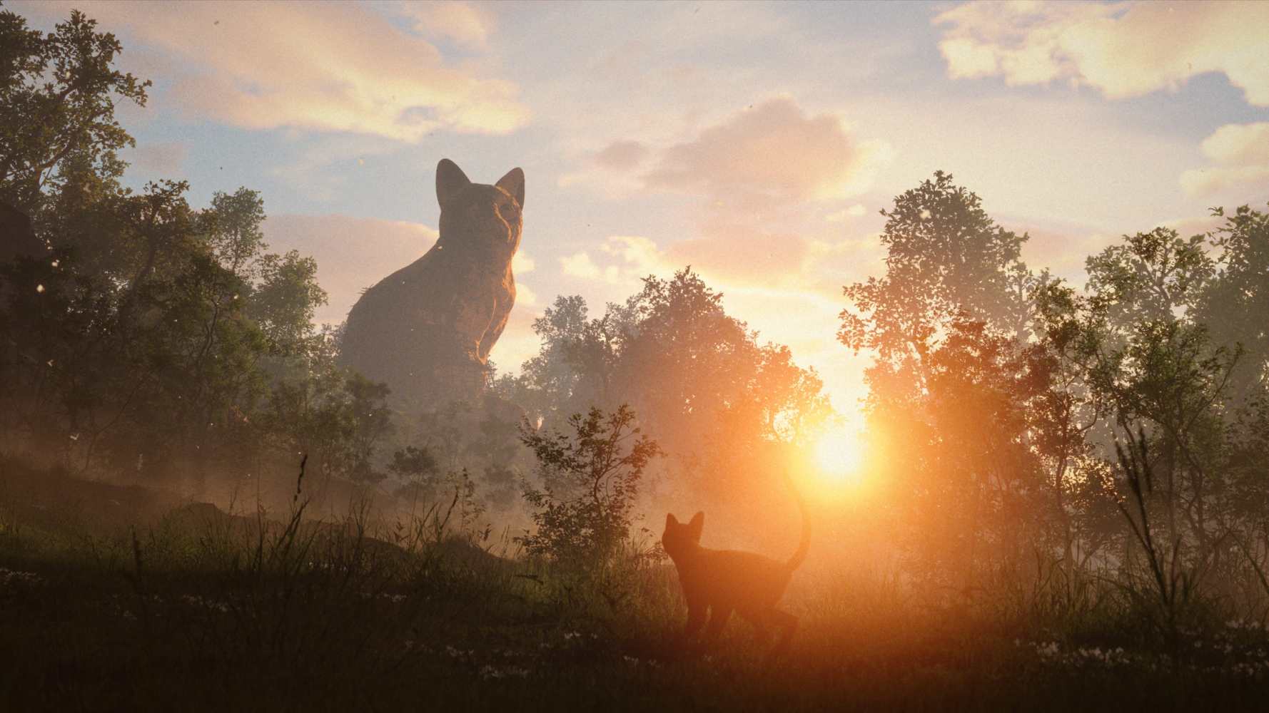 猫猫的奇幻漂流_百度百科