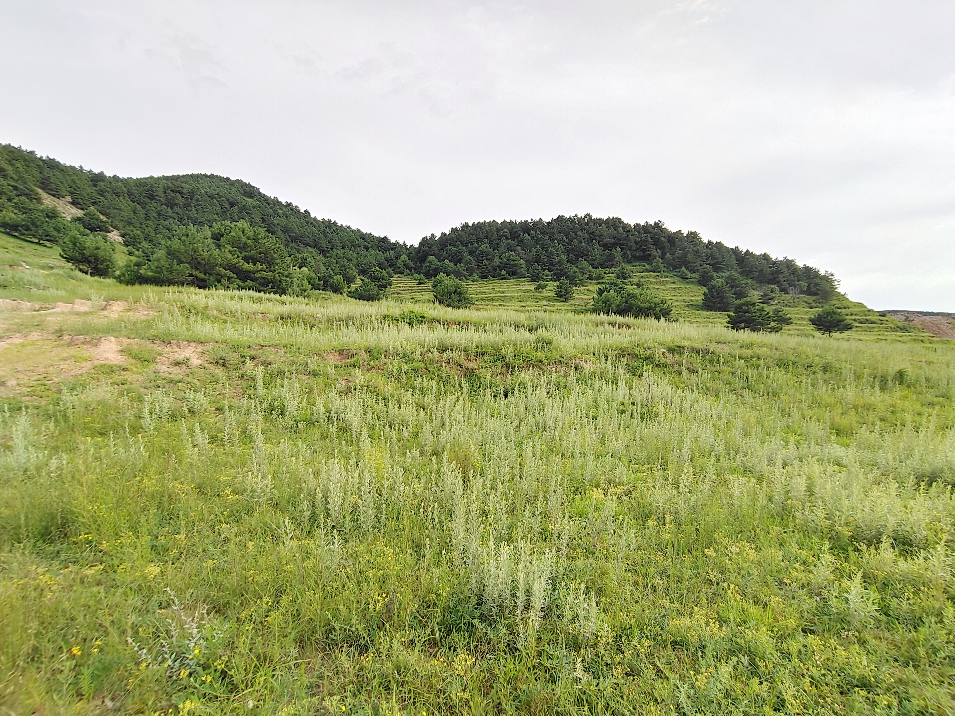 山区