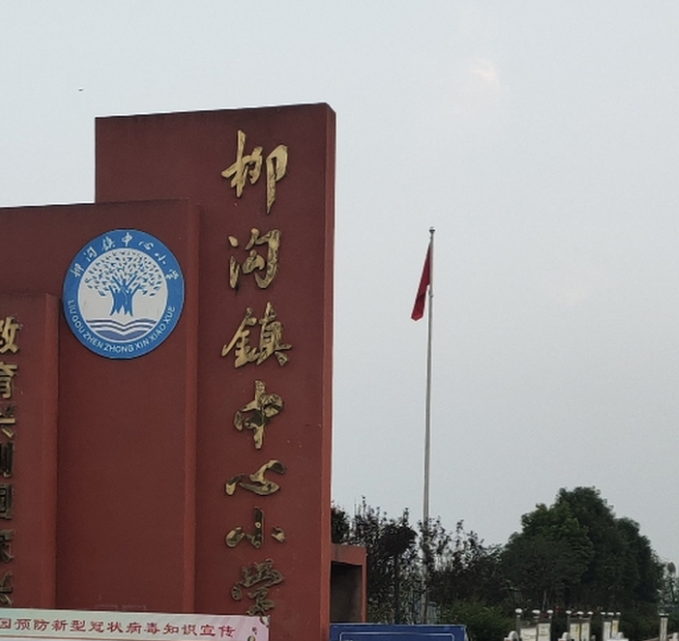 安徽省阜南县柳沟镇中心小学