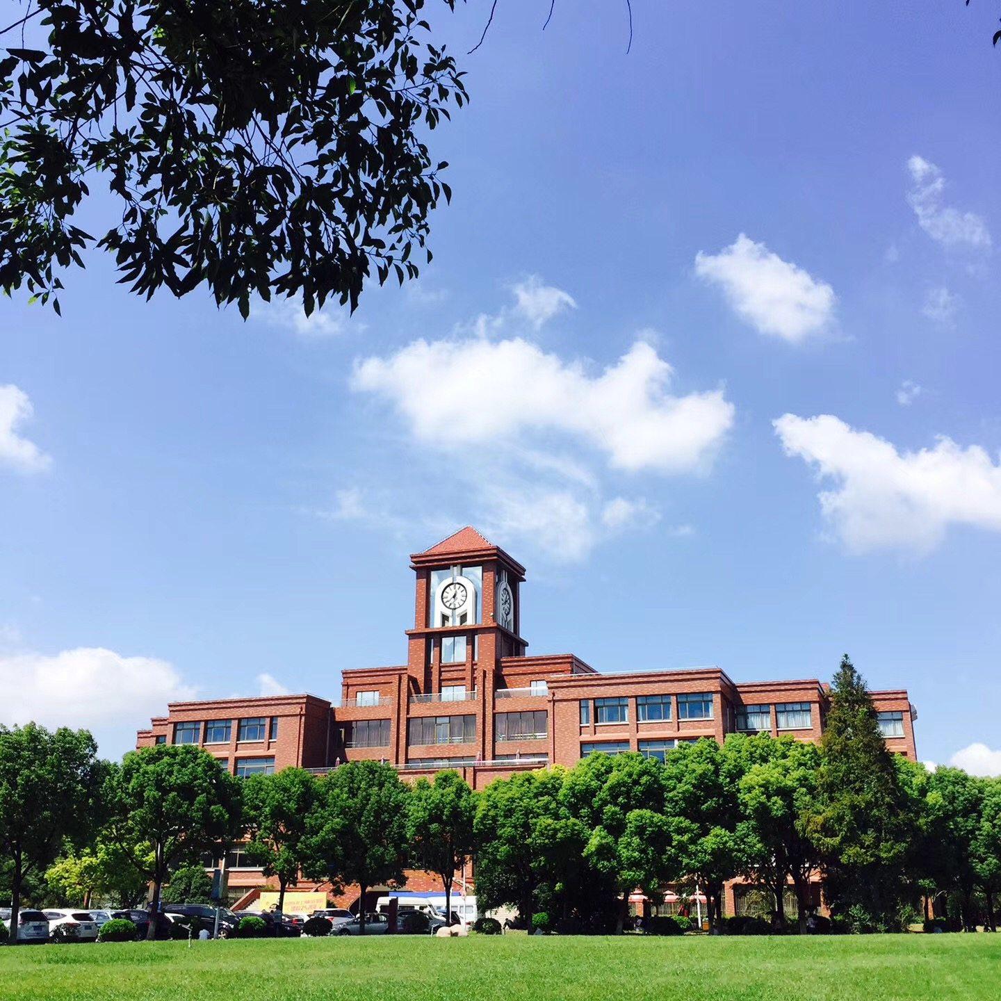 上海杉达学院