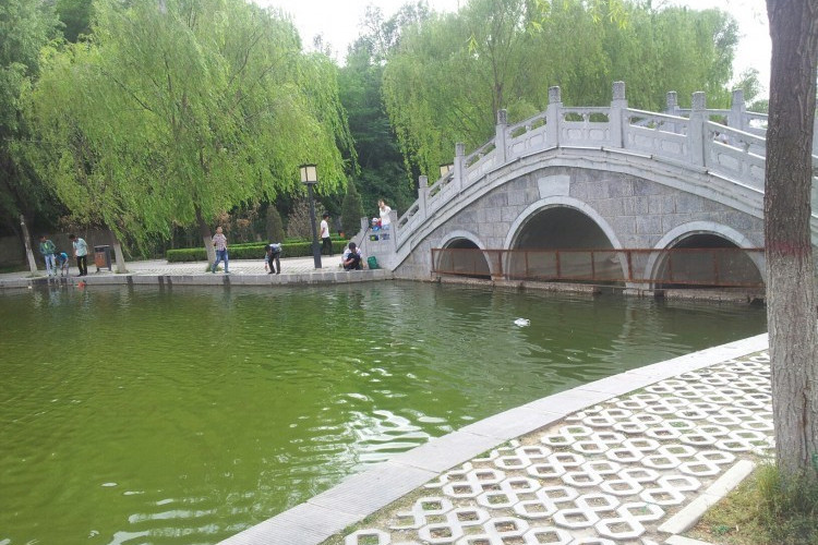  p data-id="gnx4q99rza">瑞昌柳湖公园瑞昌市区.