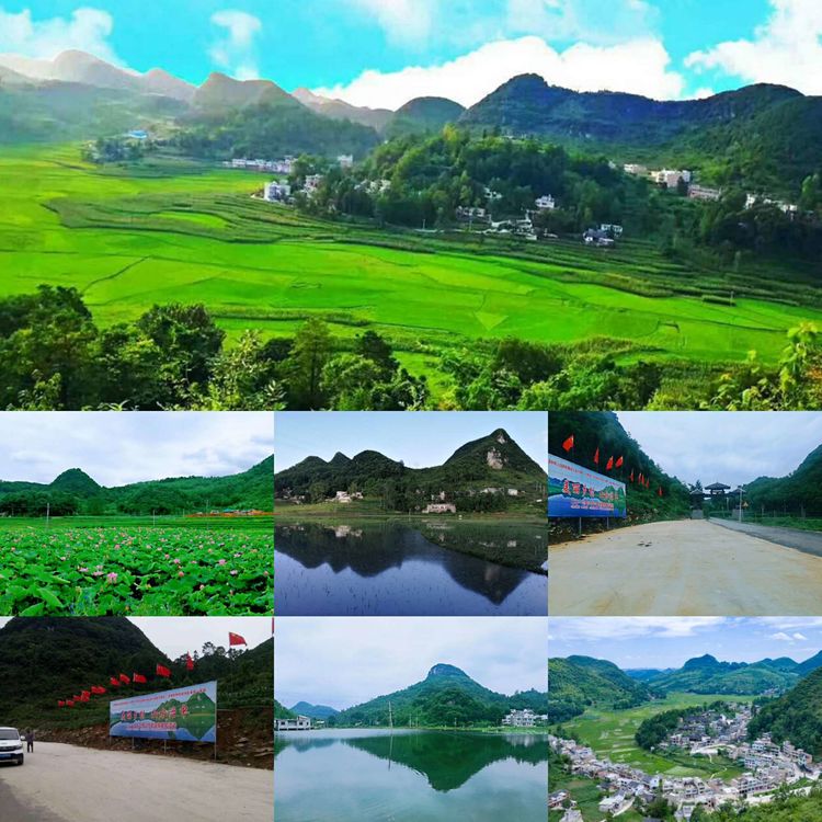 钟山镇,隶属贵州省<a target="