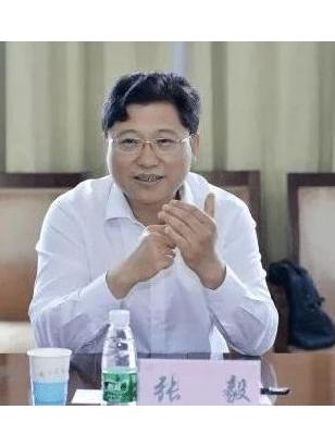 张毅