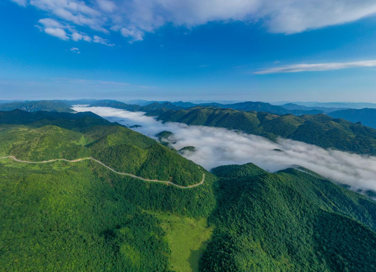 红池坝风景区天气预报在线