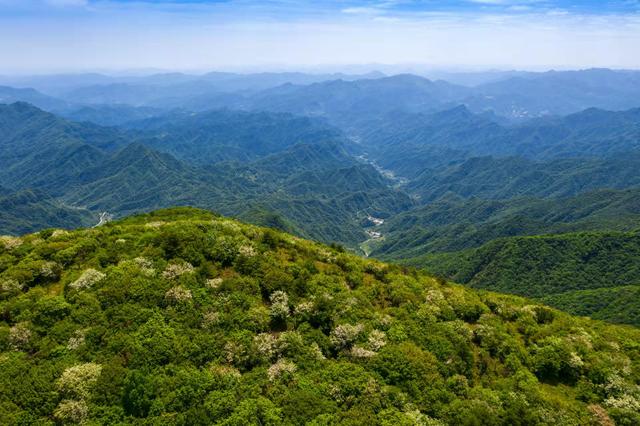 fsrn0b8">竹溪县营盘山生态旅游区位于湖北省十堰市,是3a级旅游景区