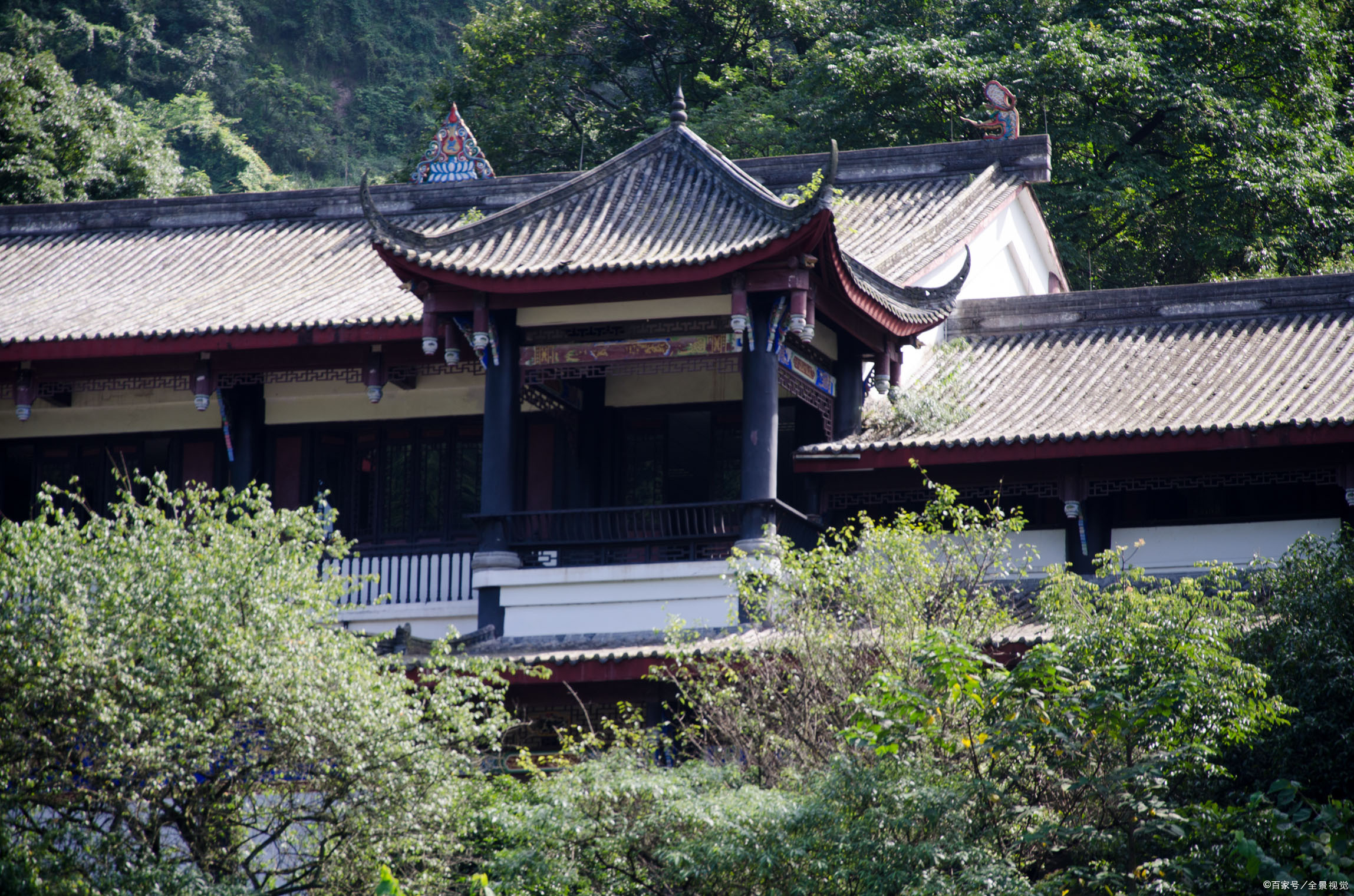 “青城天下幽”最美青城山_百科TA说
