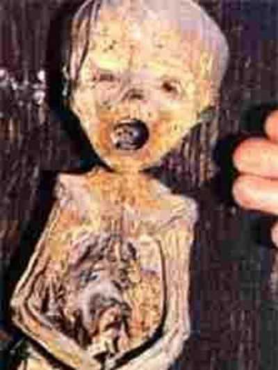 印加儿童木乃伊