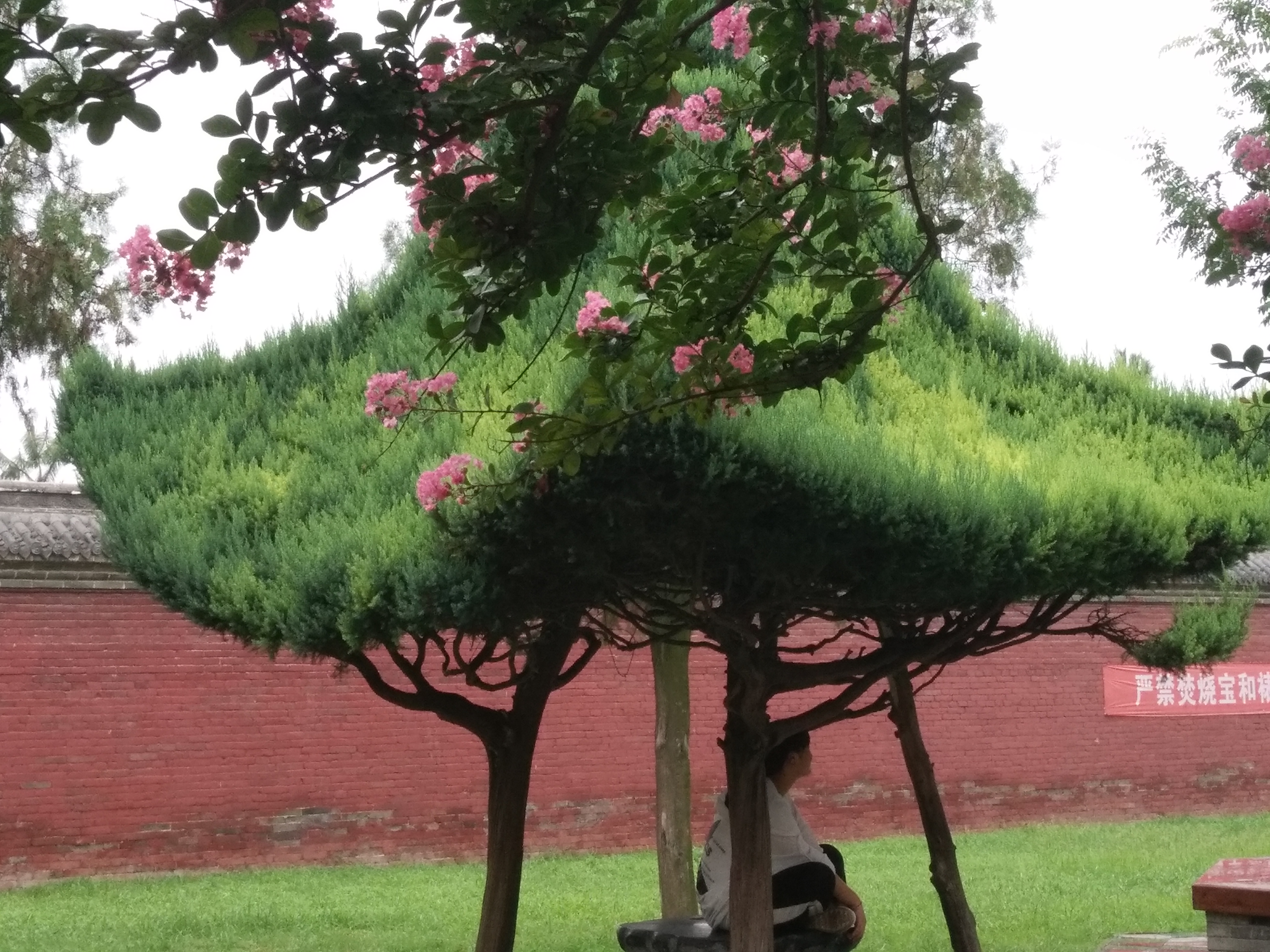  p>太昊陵,即"三皇之首"太昊 a target="_blank" href="/item/伏羲">