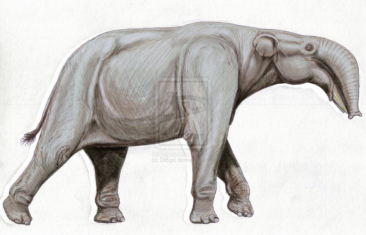 一个现存生物的科, a target="_blank" href="/item/象科/2083190"