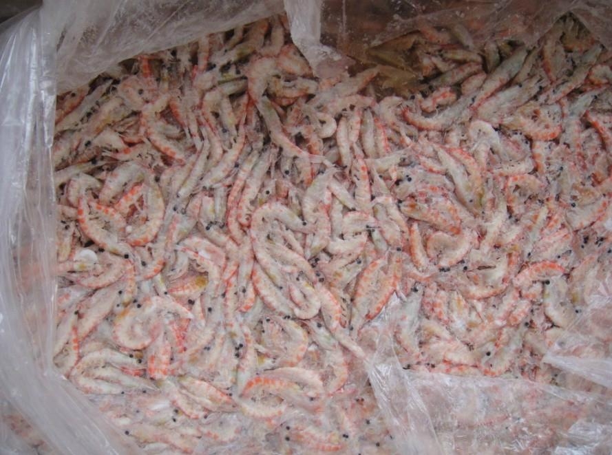  p>磷虾是指一种类似虾的 a target="_blank" href="/item/海洋无脊椎