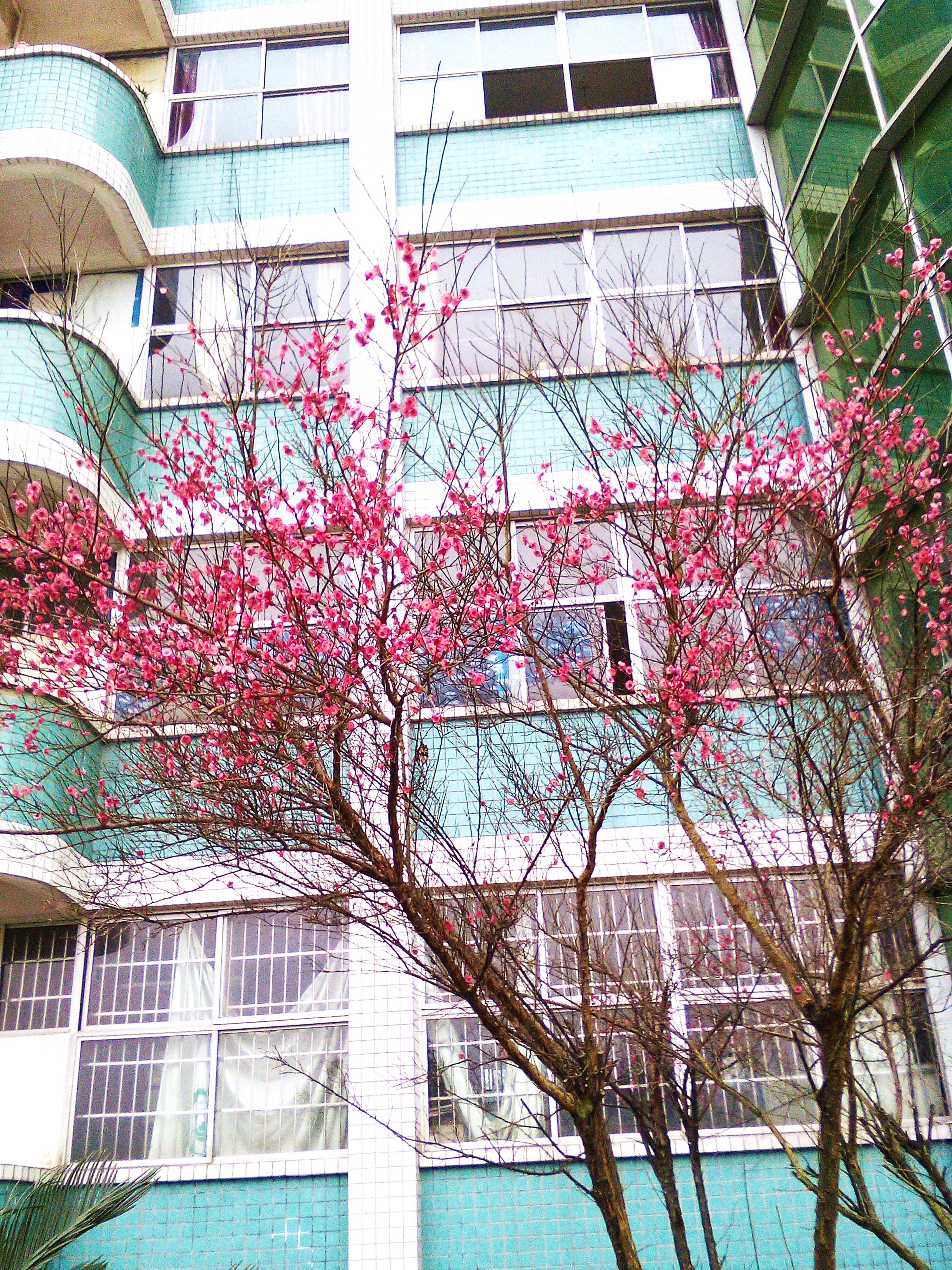  p> a target="_blank" href="/item/四川省岳池县第一中学/6226965"