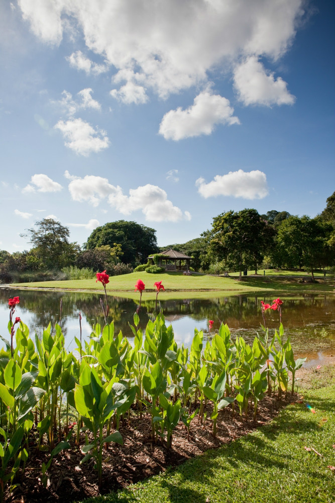 singapore botanic garden