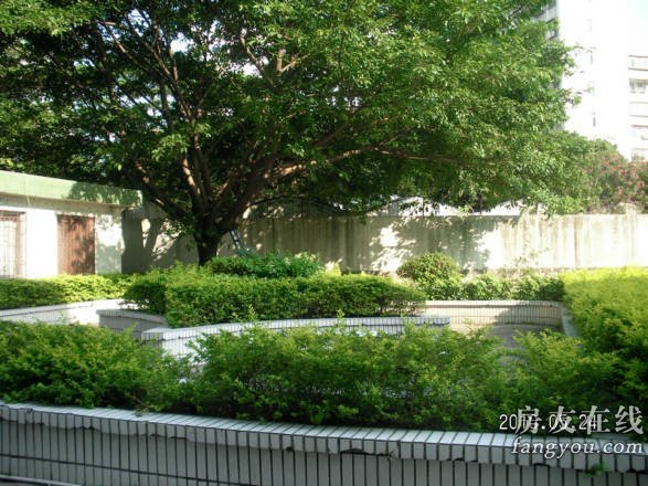  p data-id="gnb2aeq5rk">黄金台小区是深圳市宝安区的住宅小区. /p>